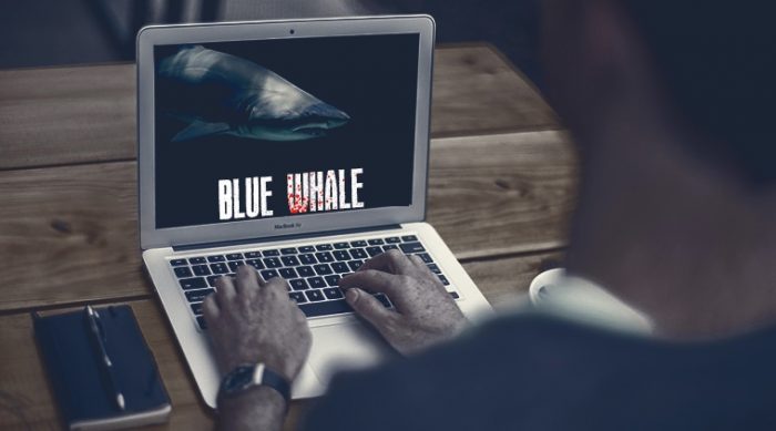 blue whale file