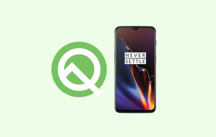 Android Q Beta on OnePlus 6 and 6T Android 10 Beta Program