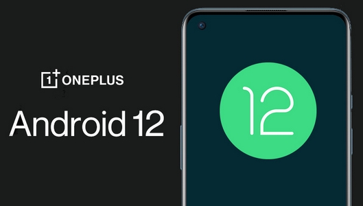 OnePlus Android 12 mise a jour